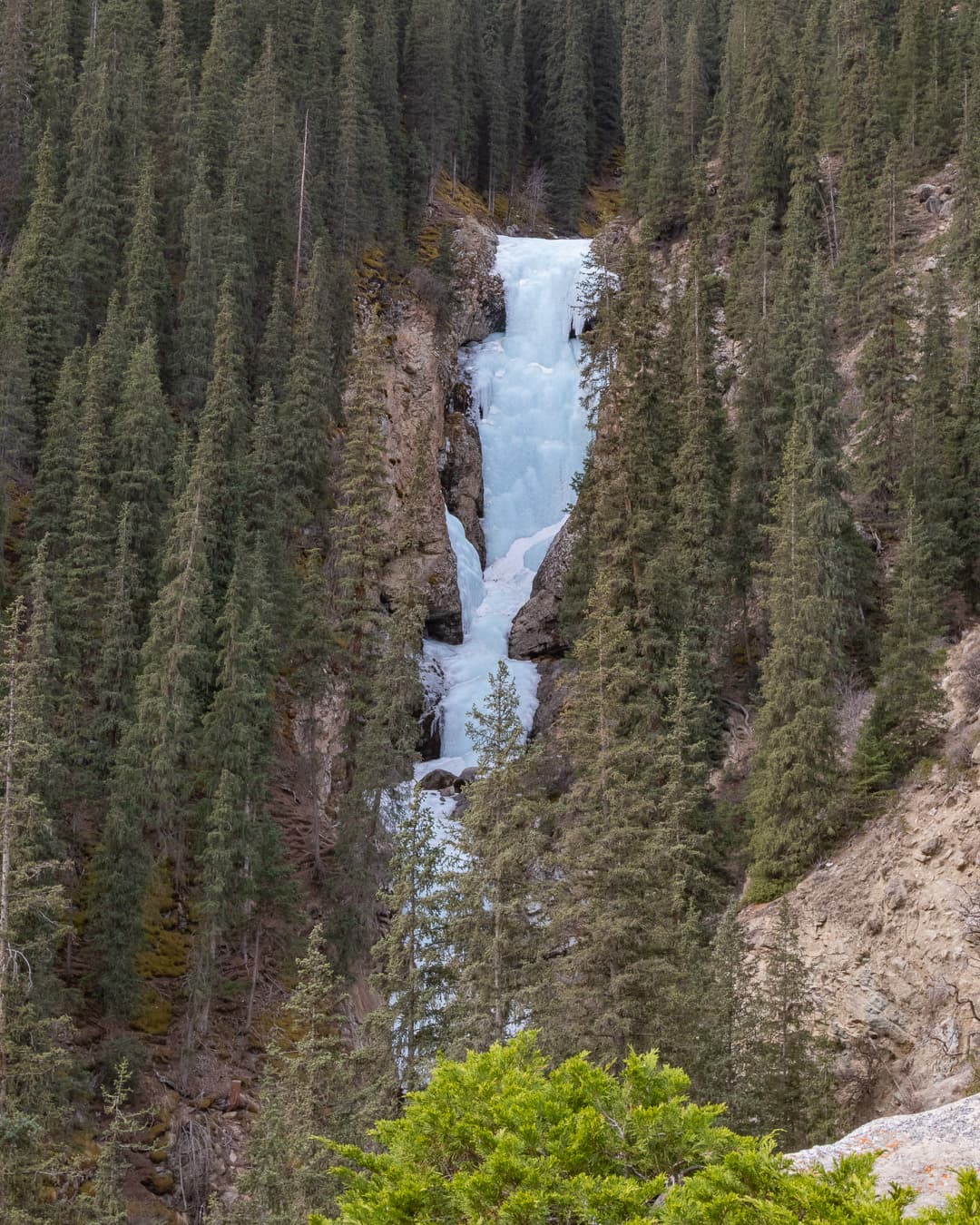 Icy waterfall in the middle of fir tree forest in Barskoon gorge, south of Issyk Kul lake