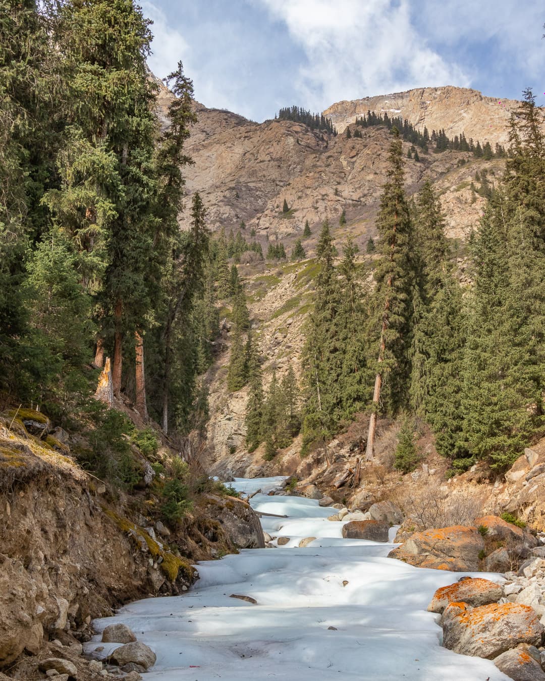 Icy waterfall in the middle of fir tree forest in Barskoon gorge, south of Issyk Kul lake